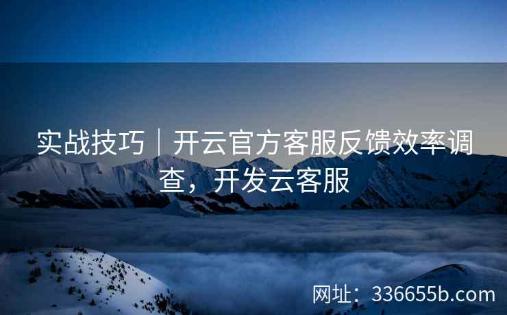 实战技巧｜开云官方客服反馈效率调查，开发云客服