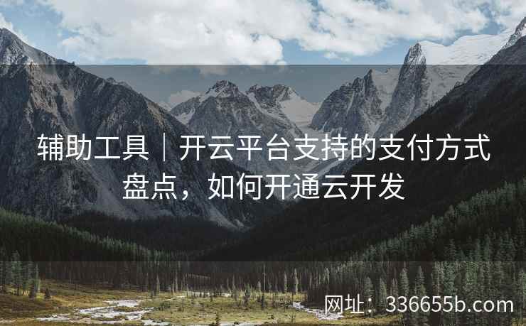 辅助工具｜开云平台支持的支付方式盘点，如何开通云开发