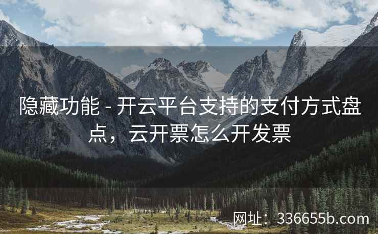 隐藏功能 - 开云平台支持的支付方式盘点，云开票怎么开发票