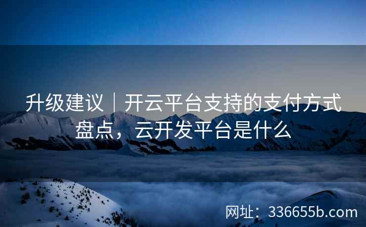 升级建议｜开云平台支持的支付方式盘点，云开发平台是什么