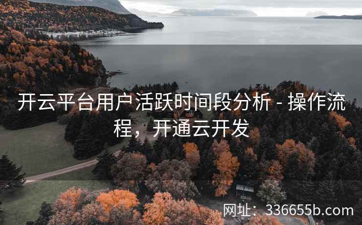 开云平台用户活跃时间段分析 - 操作流程，开通云开发