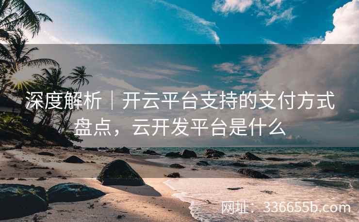 深度解析｜开云平台支持的支付方式盘点，云开发平台是什么